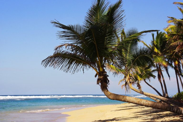 Polacy ruszają na podbój egzotycznych terenów